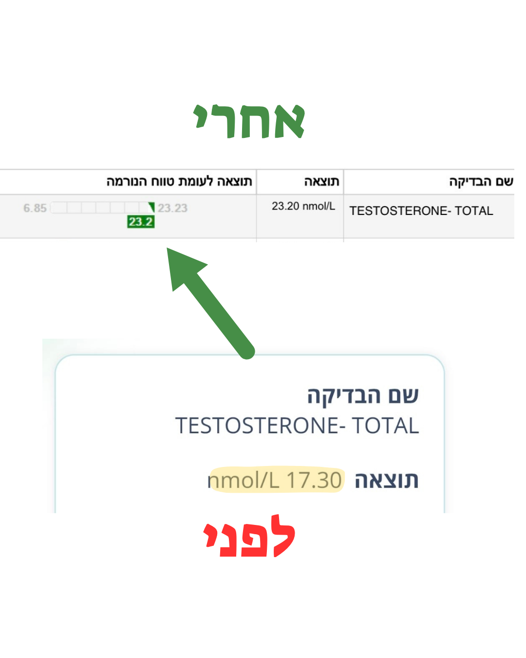 טסטוסטרון כללי 17.3 → 23.2 nmol/L